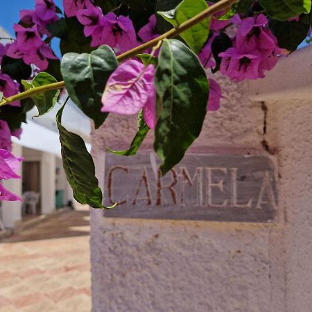 Villa Carmela A 산 피에트로 인 베바냐 외부 사진