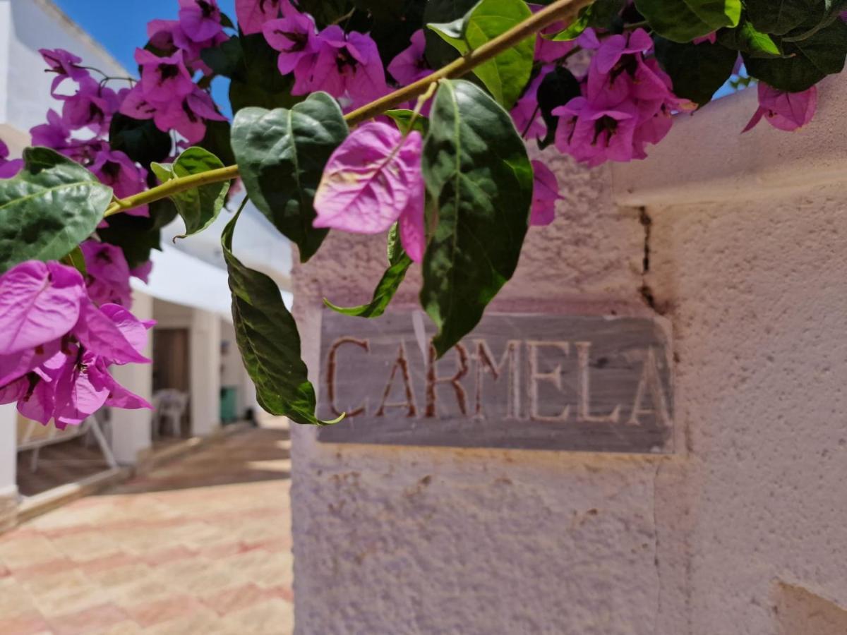 Villa Carmela A 산 피에트로 인 베바냐 외부 사진