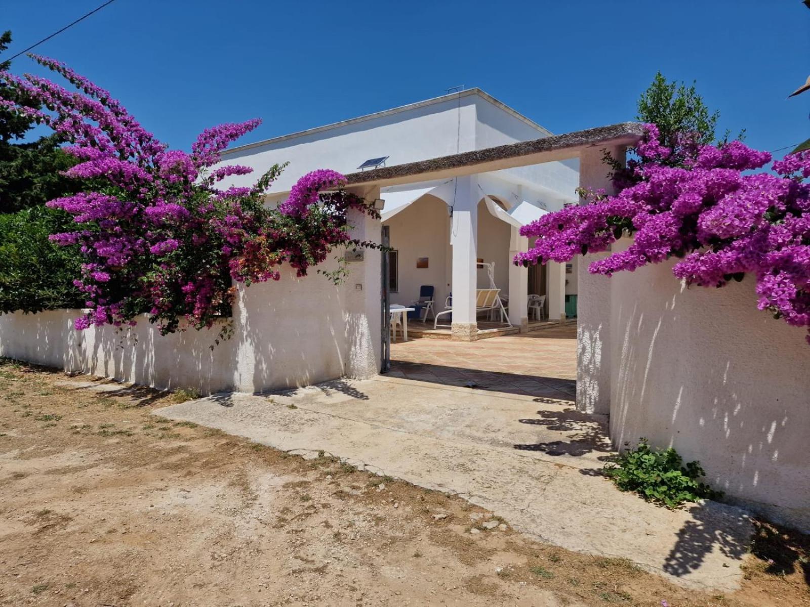 Villa Carmela A 산 피에트로 인 베바냐 외부 사진
