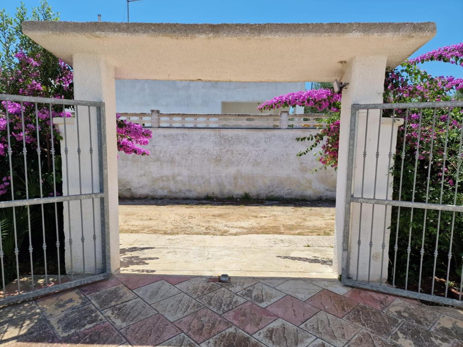 Villa Carmela A 산 피에트로 인 베바냐 외부 사진