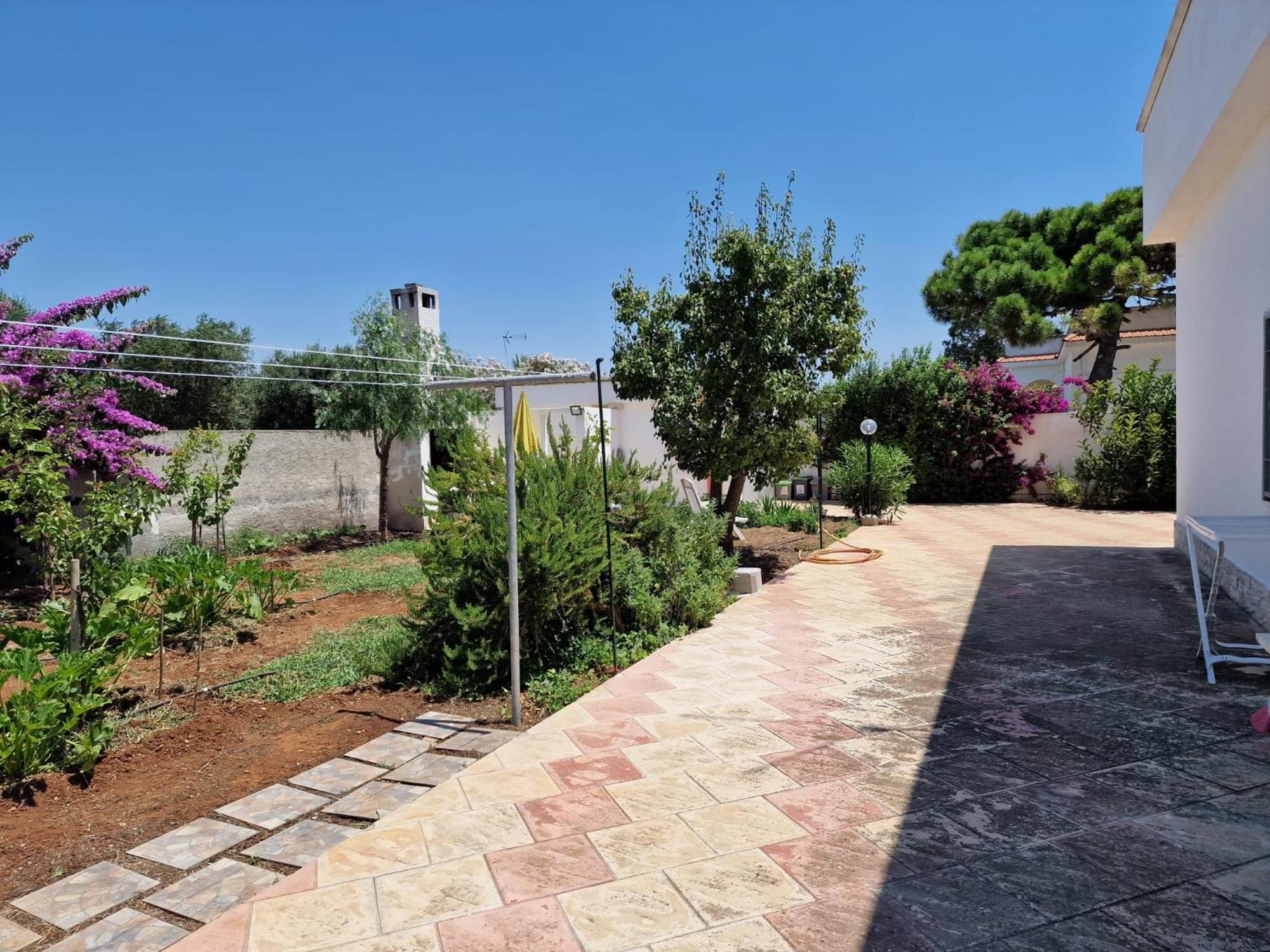 Villa Carmela A 산 피에트로 인 베바냐 외부 사진
