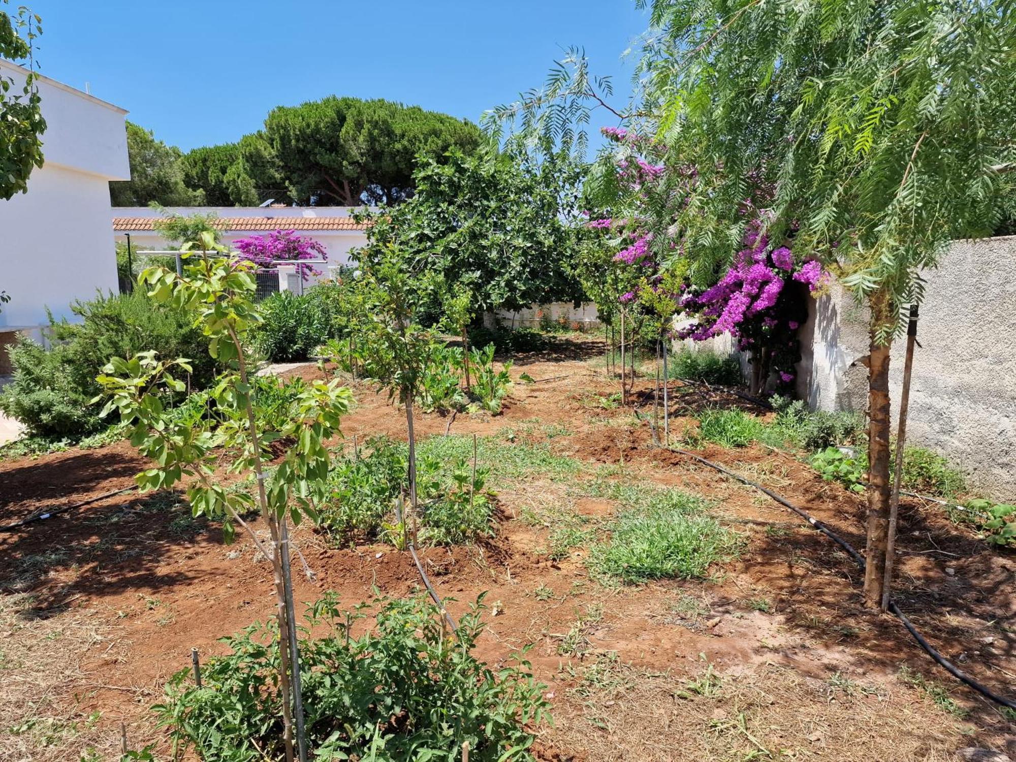 Villa Carmela A 산 피에트로 인 베바냐 외부 사진